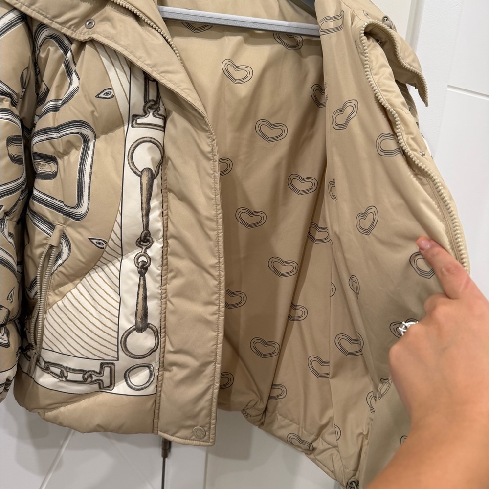 Hermes Down Jacket - image 4